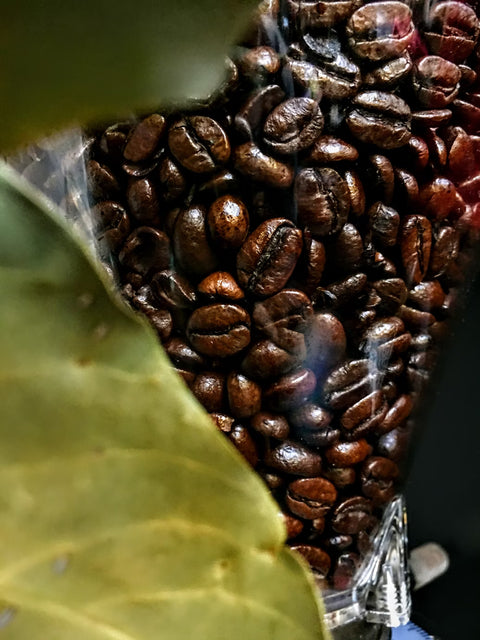 Caffeine